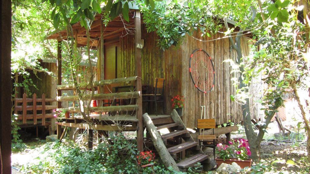 Olympos Natural Pansiyon Exterior photo